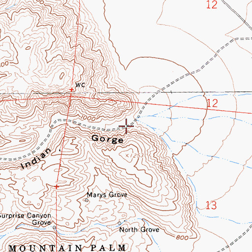 Topographic Map of Indian Gorge, CA
