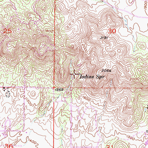 Topographic Map of Iodine Spring, CA