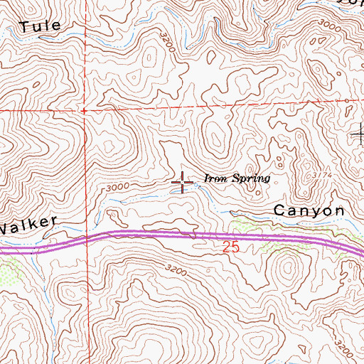Topographic Map of Iron Spring, CA