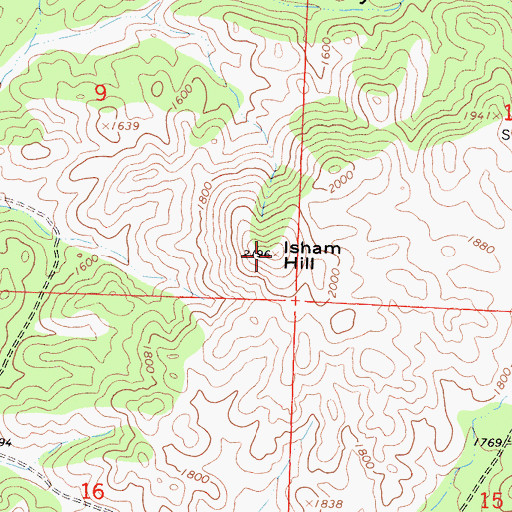 Topographic Map of Isham Hill, CA