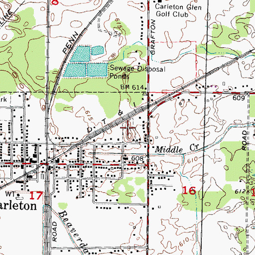 Topographic Map of Carleton Cemetery, MI
