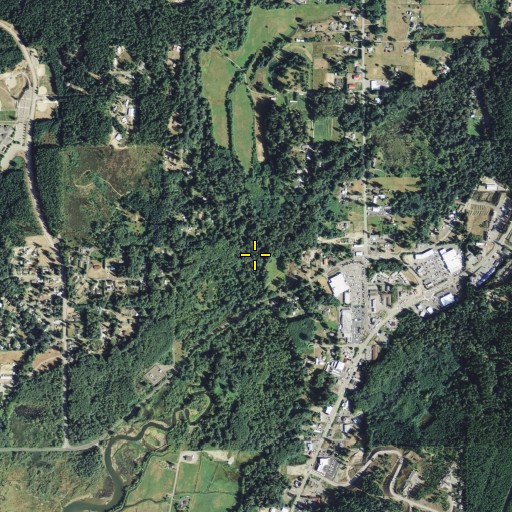 Aerial/Satellite Image of Irene Creek, WA
