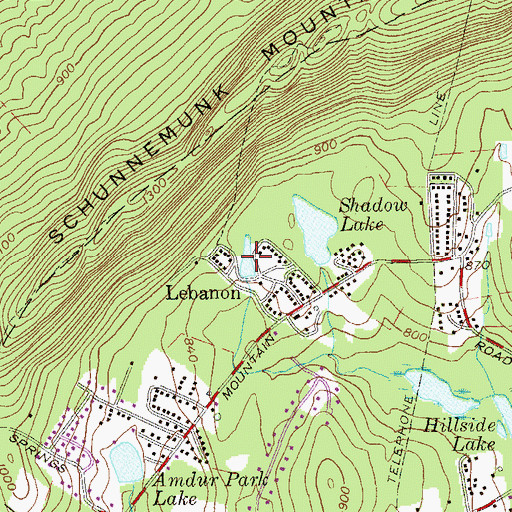 Topographic Map of Lebanon Lake, NY