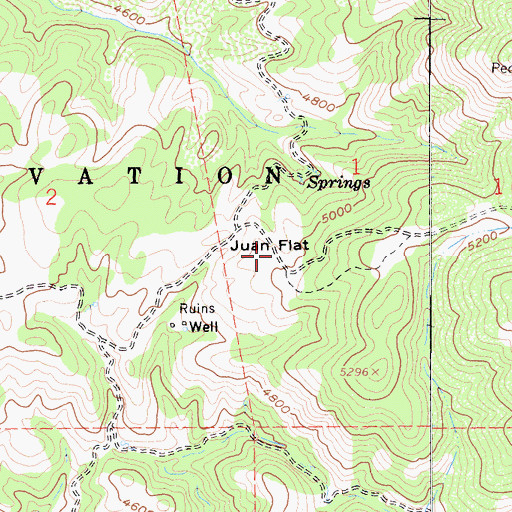 Topographic Map of Juan Flat, CA