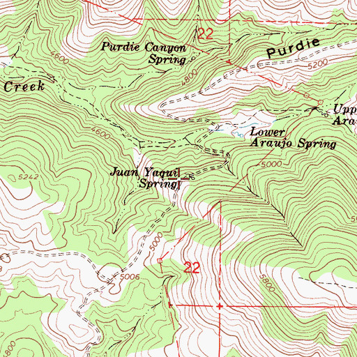 Topographic Map of Juan Yaqui Spring, CA