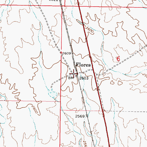 Topographic Map of Flores, AZ