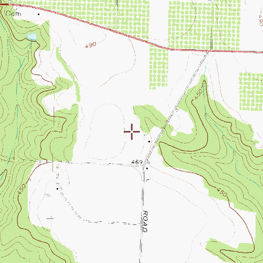 Topographic Map of Big Dog - Cameron Field, GA