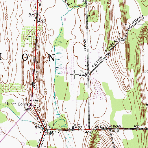 Topographic Map of Ag-Alley Airport, NY