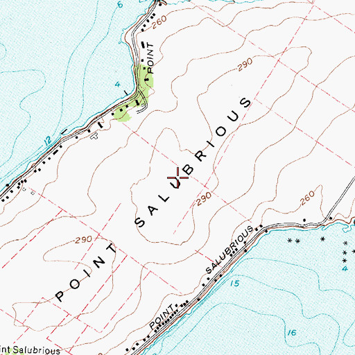 Topographic Map of Salubrious Point Airport (historical), NY