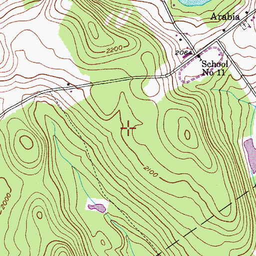 Topographic Map of Blueberry Field, NY