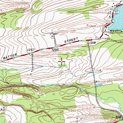 Topographic Map of Mariaville Aerodrome, NY
