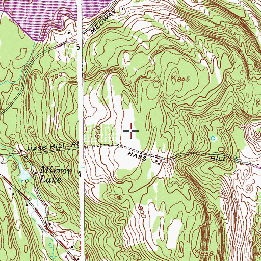 Topographic Map of Wayne Delp Airport, NY