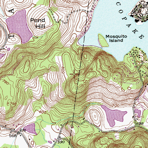 Topographic Map of B Flat Farm Airport, NY