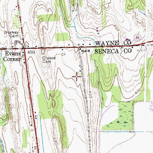 Topographic Map of Savannah Airport, NY