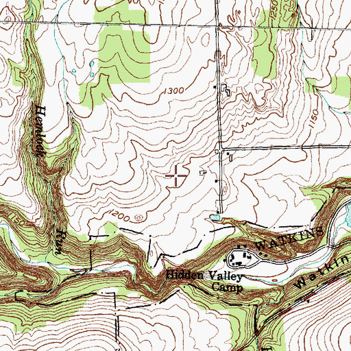 Topographic Map of Hemlock Run Airport, NY