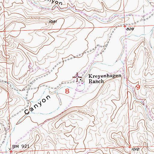Topographic Map of Kreyenhagen Ranch, CA