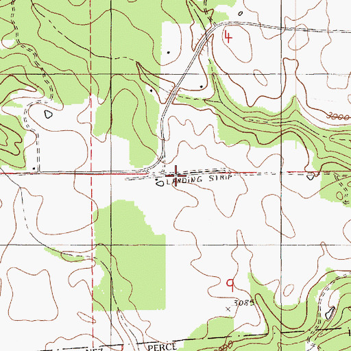 Topographic Map of Freeman Creek Airport, ID