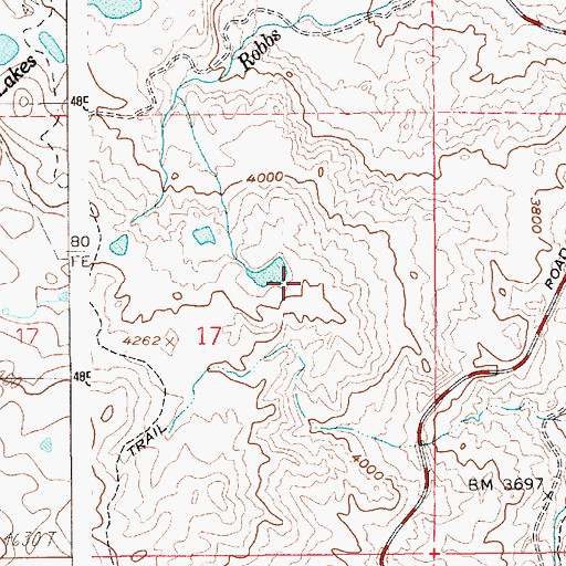 Topographic Map of Loomis Airport, ID