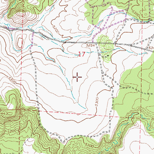 Topographic Map of Pinenut Airport, NV