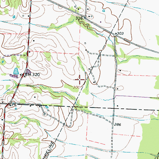 Topographic Map of Parsons Field, TN