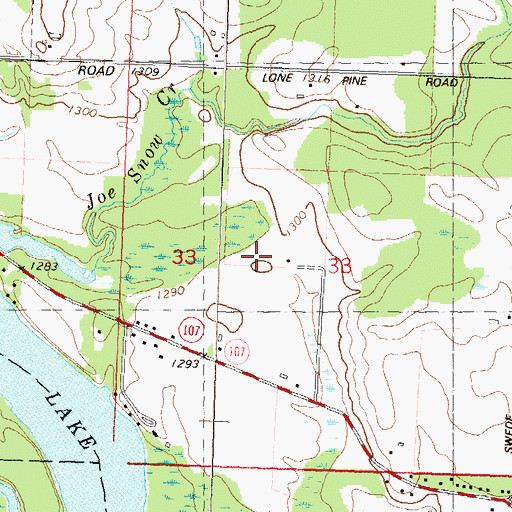 Topographic Map of R & S Landing Strip, WI