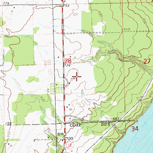 Topographic Map of Old Dairy Airport, WI