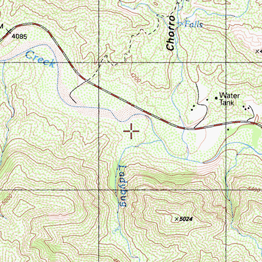 Topographic Map of Ladybug Creek, CA