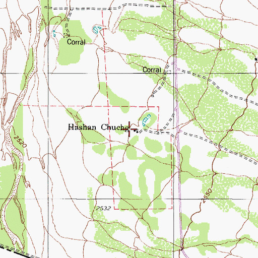 Topographic Map of Hashan Chuchg, AZ