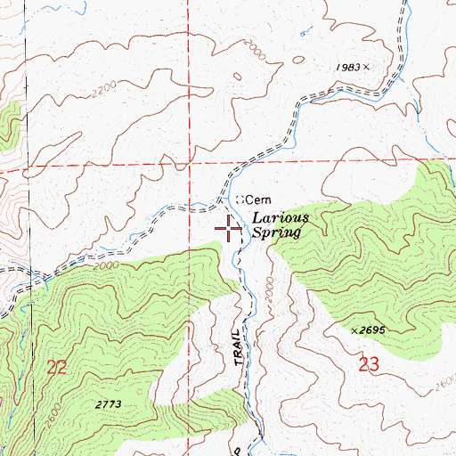 Topographic Map of Larious Spring, CA