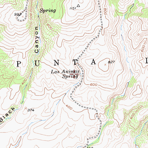 Topographic Map of Las Animas Spring, CA