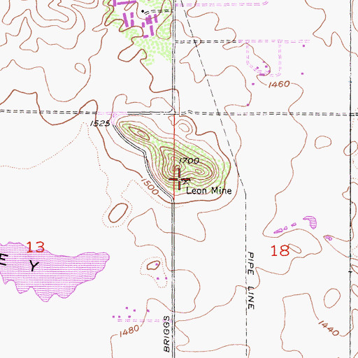 Topographic Map of Leon Mine, CA
