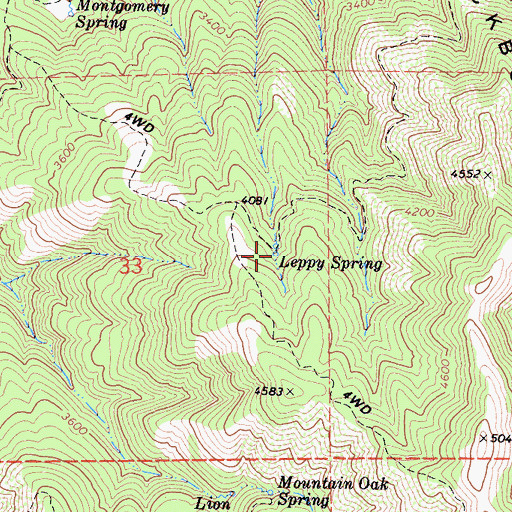 Topographic Map of Leppy Spring, CA