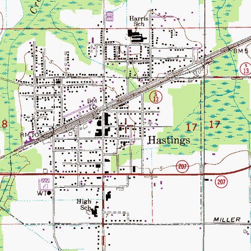 Topographic Map of Hastings Post Office, FL