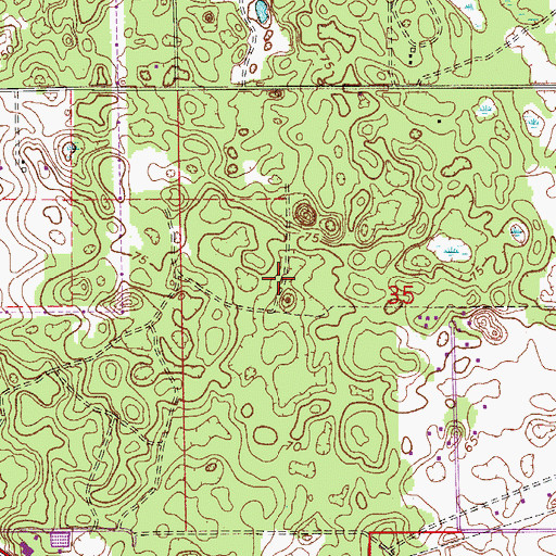 Topographic Map of Country Club of Ocala, FL
