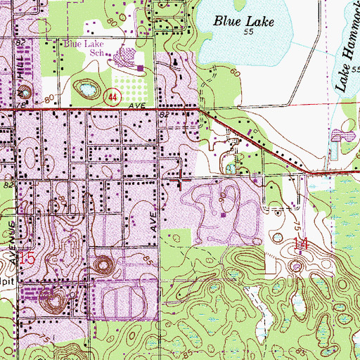 Topographic Map of Morning Star Chapel of Deland, FL