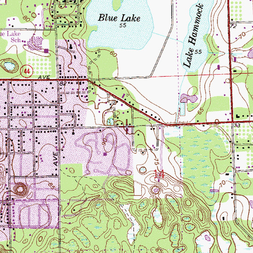 Topographic Map of United Pentecostal Church, FL