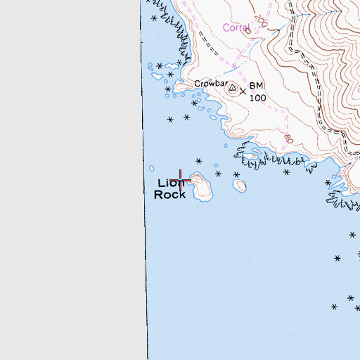 Topographic Map of Lion Rock, CA