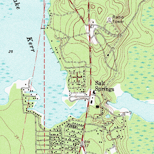 Topographic Map of Salt Springs Village Mobile Home Park, FL
