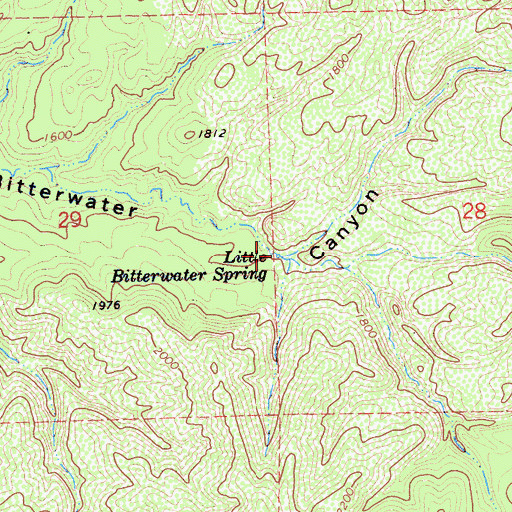 Topographic Map of Little Bitterwater Spring, CA