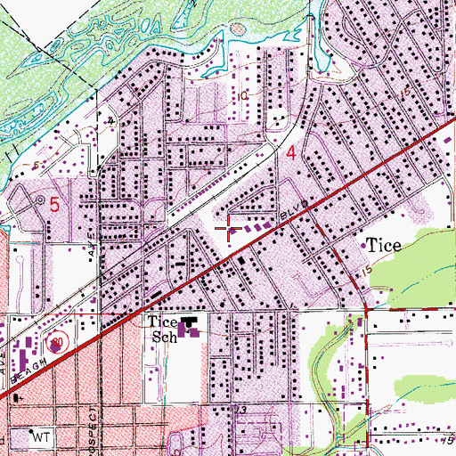 Topographic Map of Tice Post Office, FL