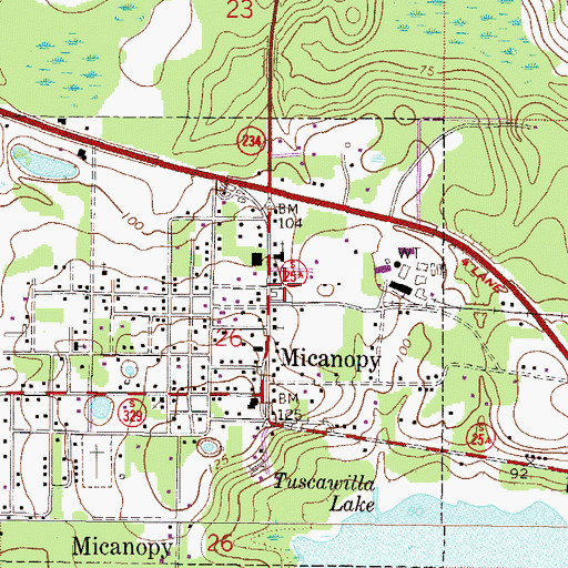 Topographic Map of Micanopy Historical Society Museum, FL