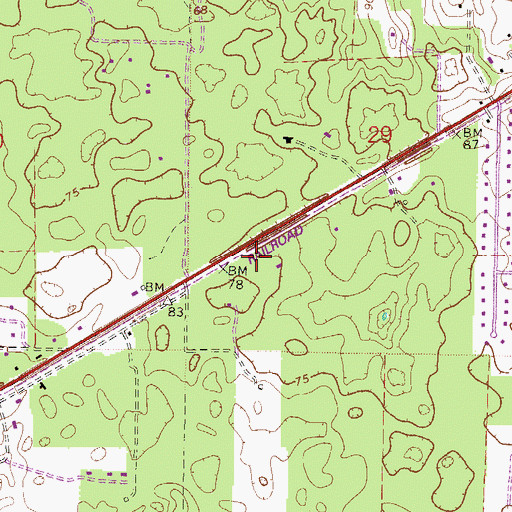 Topographic Map of Celebration United Methodist Church, FL