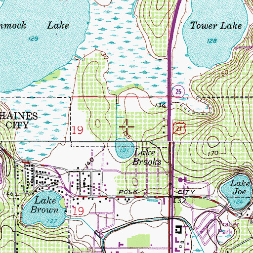 Topographic Map of Lake Hammock Village, FL