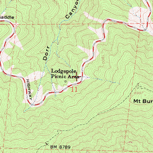 Topographic Map of Lodgepole Picnic Area, CA