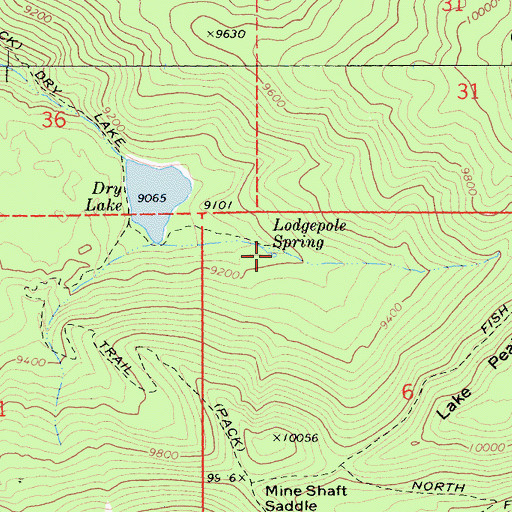 Topographic Map of Lodgepole Spring, CA