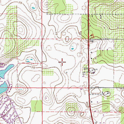Topographic Map of International Golf Club, FL