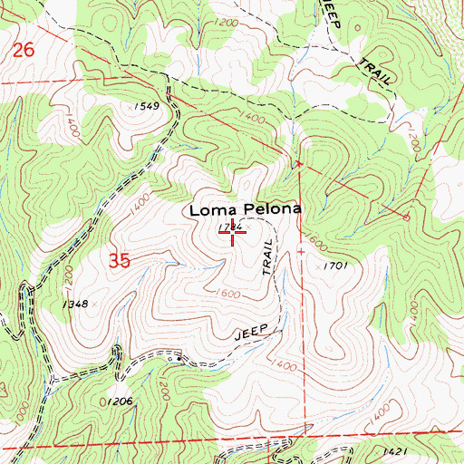 Topographic Map of Loma Pelona, CA