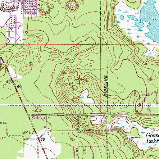 Topographic Map of Florida Hospital Fish Memorial Heliport, FL