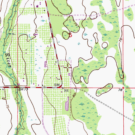 Topographic Map of WRMQ - AM (Orlando), FL