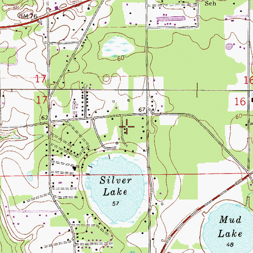 Topographic Map of Silver Lake Oaks Mobile Home Village, FL